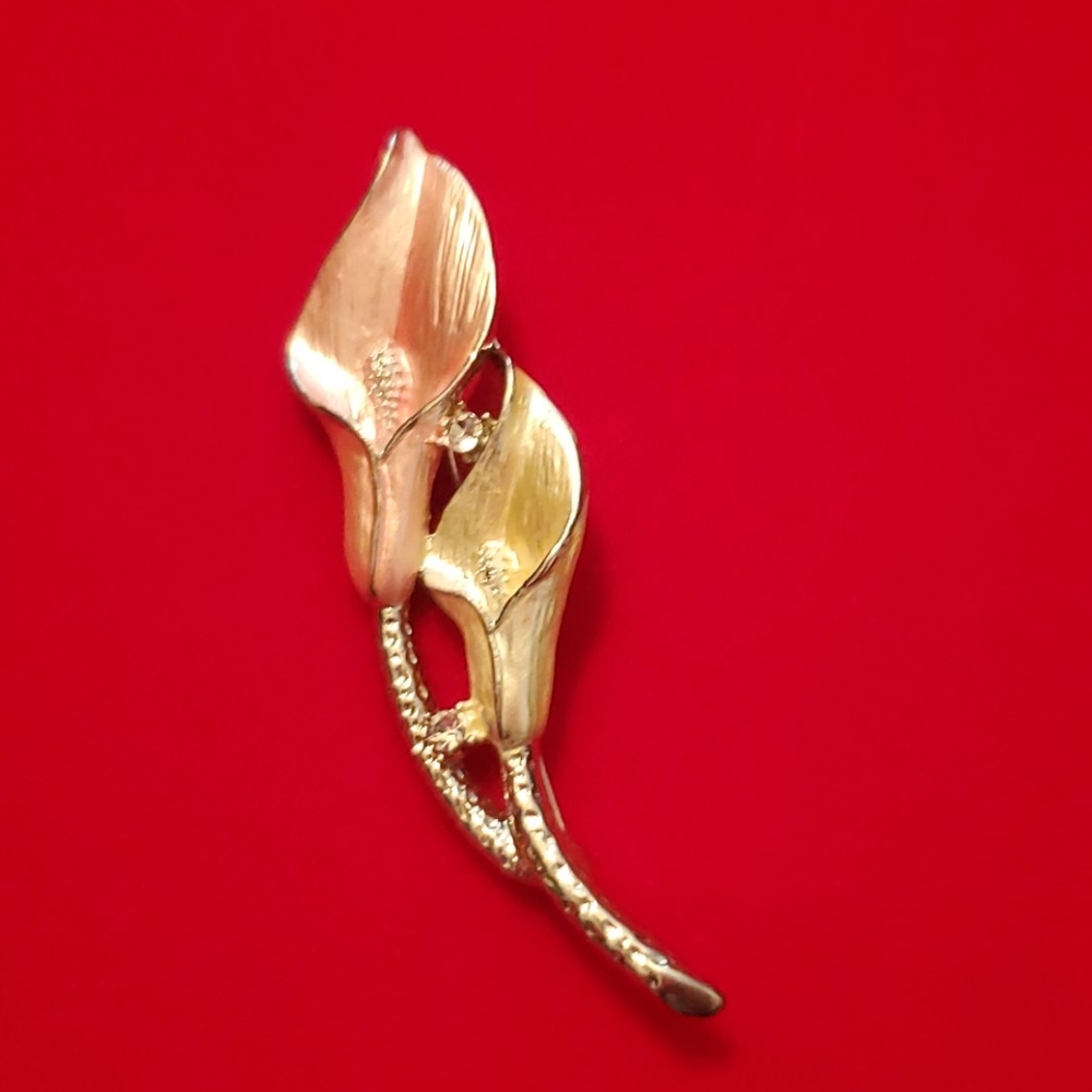 Brooch, pin